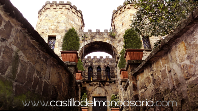 CASTILLO DEL MONO OSORIO